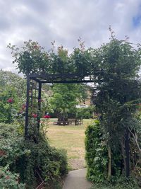 Landscaped communal gardens